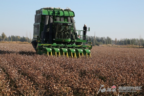 新疆农作物秸秆综合利用率连续三年超90%