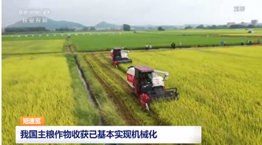 数据显示目前中国主粮作物收获已基本实现机械化
