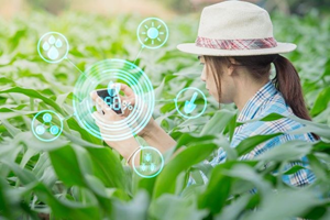 国内首款农业AI对话机器人发布